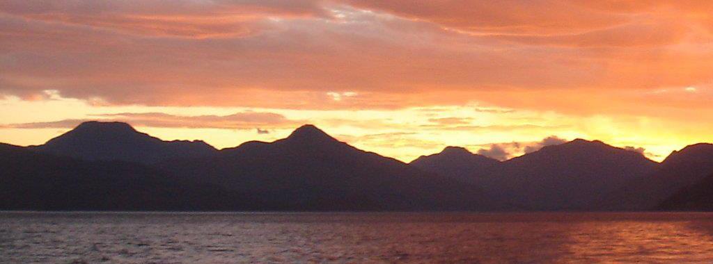 Welcome to Miscampbell.com!